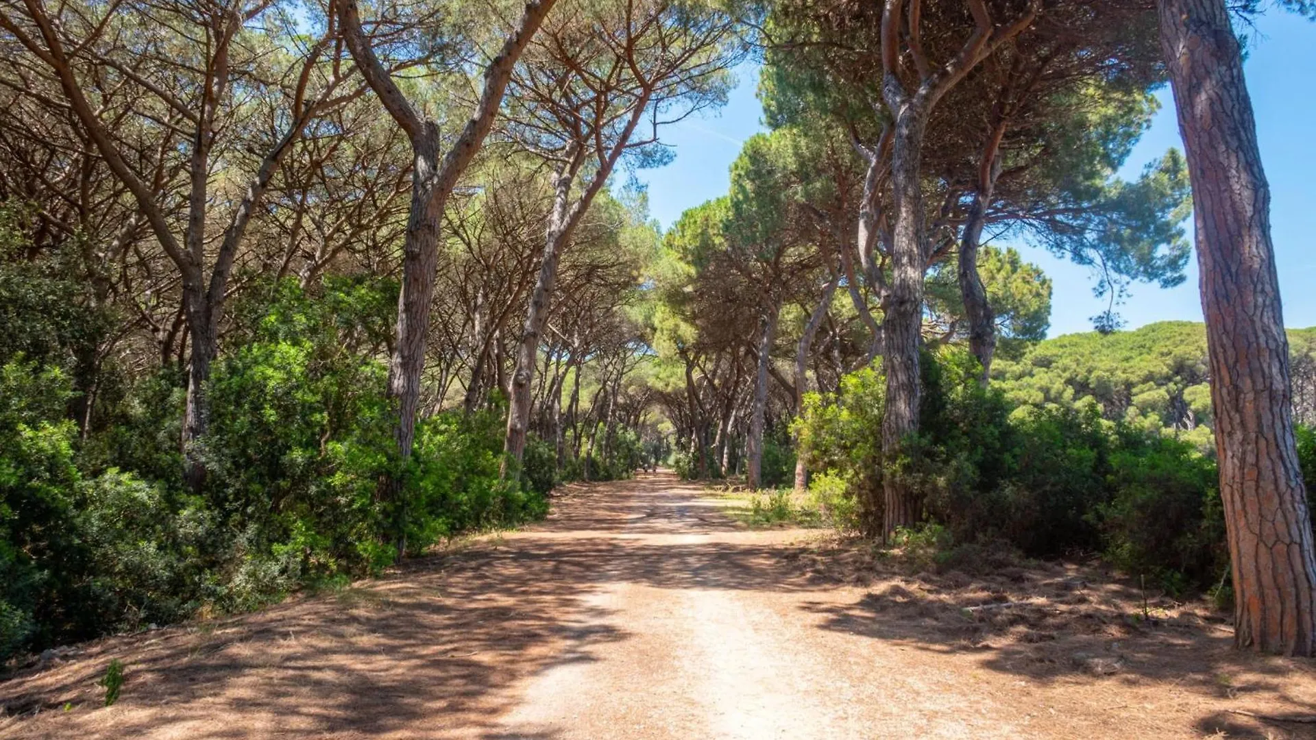 Holiday home Chalet Vignarola - Happy Rentals Orbetello Italy